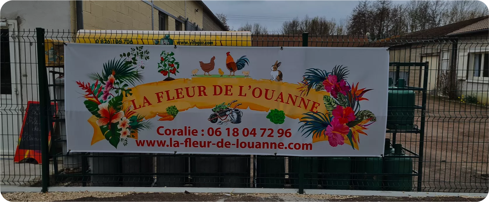 La Fleur De L’ouanne